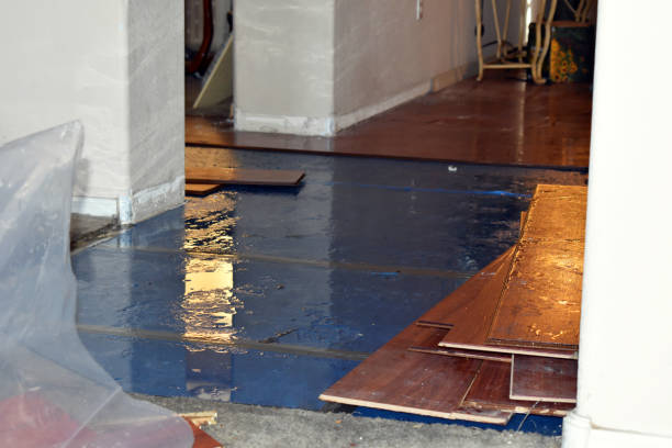Professional Burst Pipe Cleanup technician working in Sharpes, FL